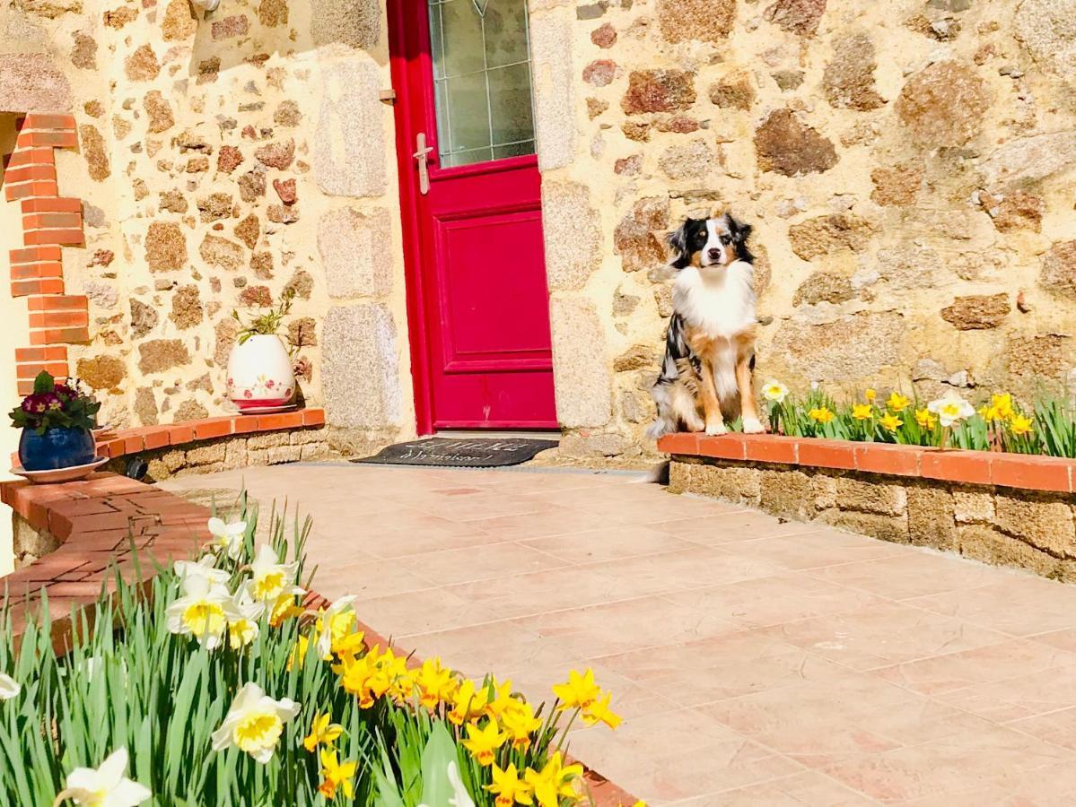 La Basse Monniere Bed and Breakfast Sevremont Eksteriør billede